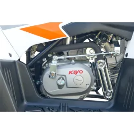 Vaikiškas keturratis KAYO A125 Efi