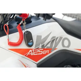 Vaikiškas keturratis KAYO A125 Efi