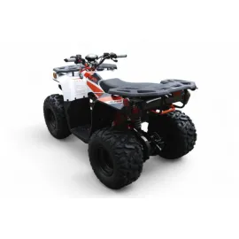 Vaikiškas keturratis KAYO AU125 Efi