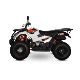 Keturratis KAYO AU300 EFI