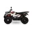 Keturratis KAYO AU300 EFI