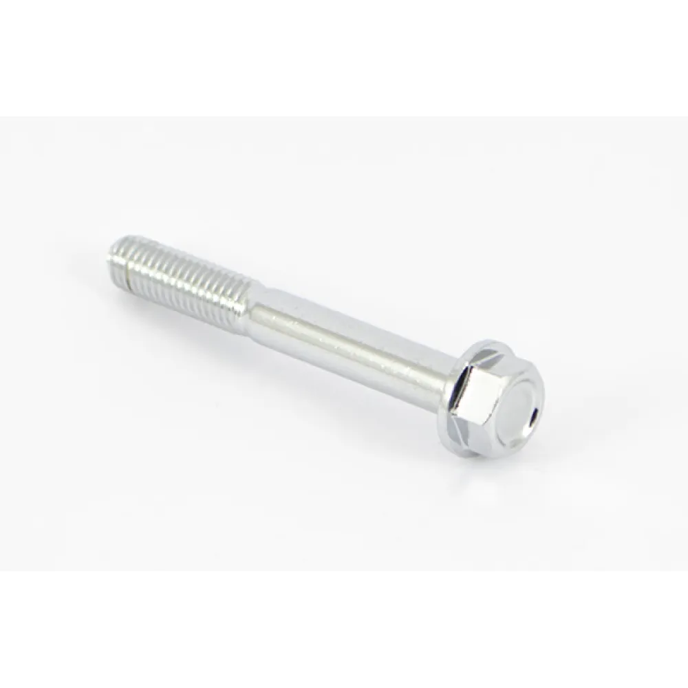 0130-011109-0030 Bolt  M8x60