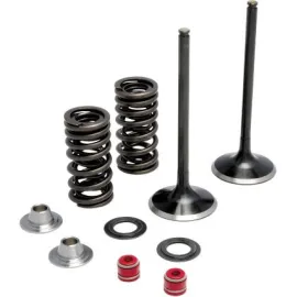 Vožtuvų rinkinys Yamaha 450 0926-2459