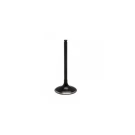 Vožtuvas INTAKE VALVE XU-09548I