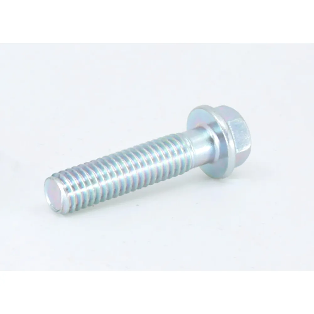 0010-021017-0010 bolt M6x25