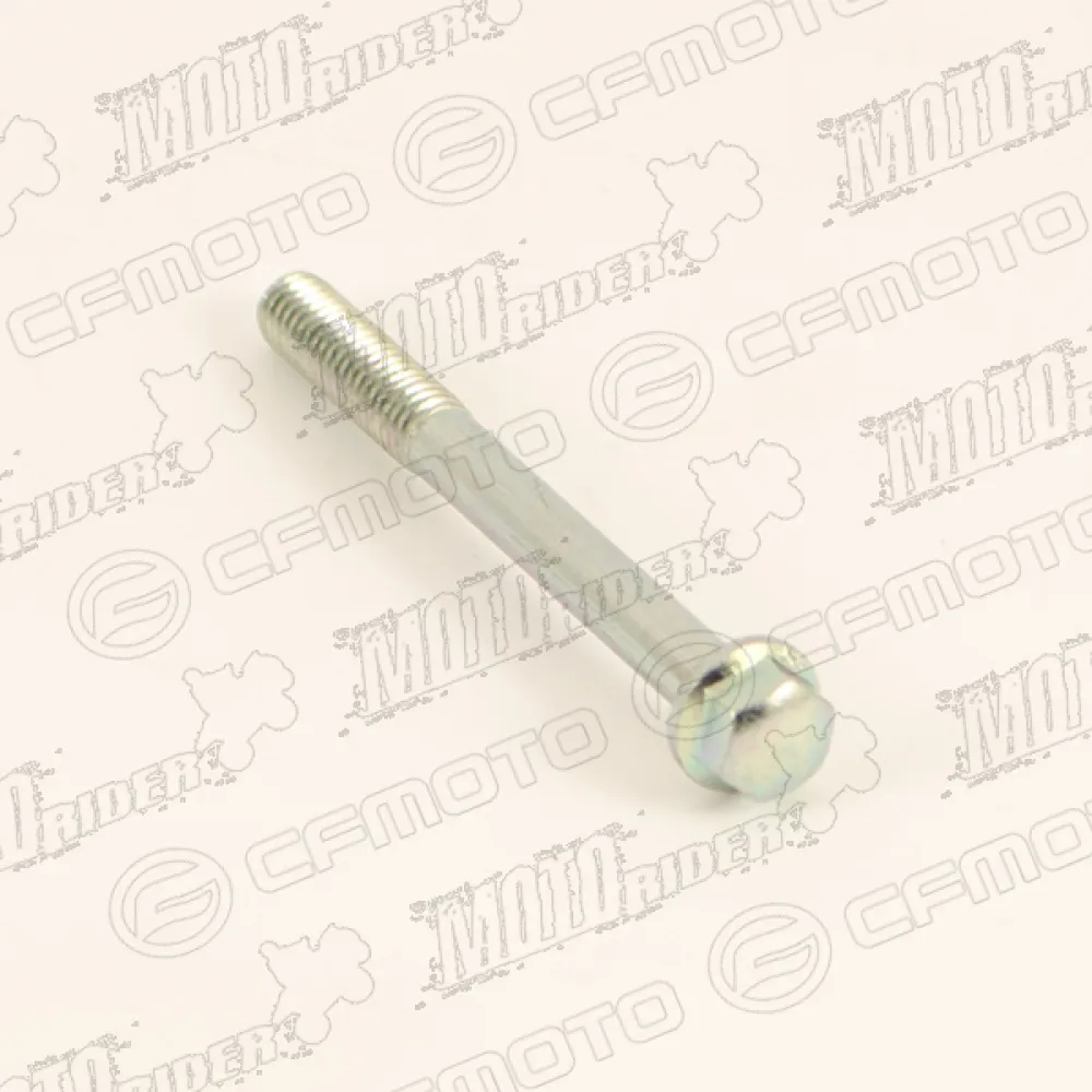 0010-011017-0010 BOLT M6X60