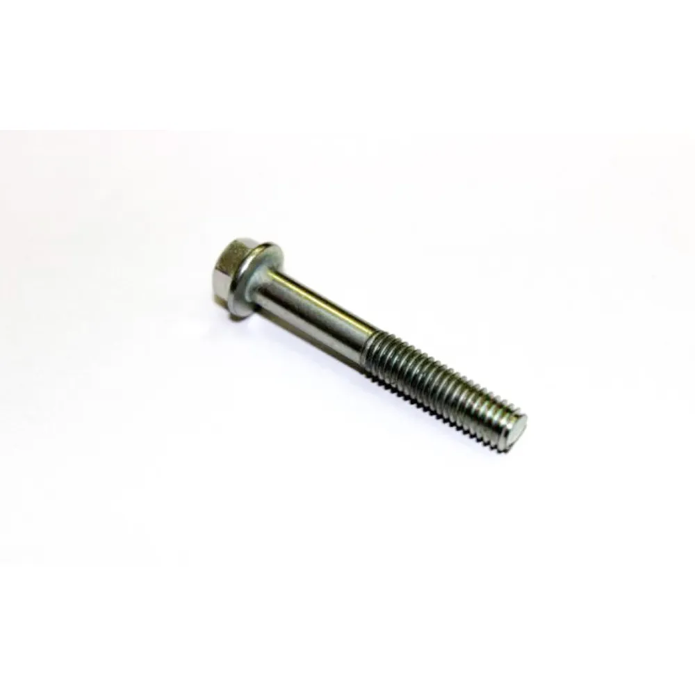 0010-013009-0010 Bolt M6x40