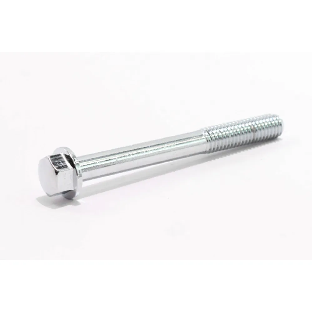 0010-021018-0010 BOLT M6x55