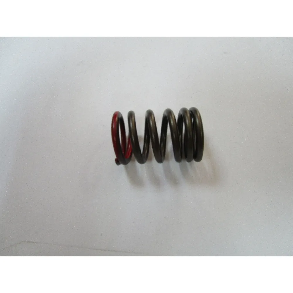 12922-35G00-0000 Spring, valve ex