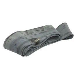 Kamera Continental DET19 C350 100/90-19