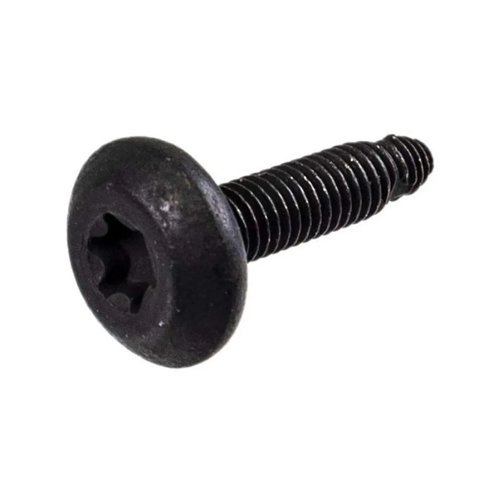 7519650 SCR-TXTH-M6X1.0X25 RIE(10)