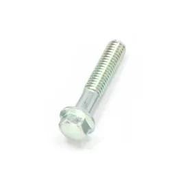 0010-060012-0010 Bolt M6x30 (0010-060012-0030)