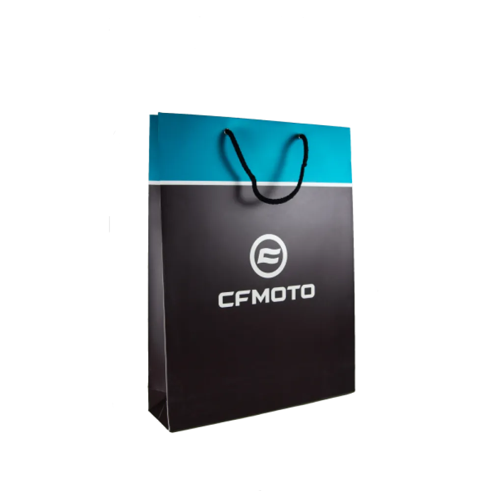 TSYGW172-R VERTICAL PAPER CARRIER BAG