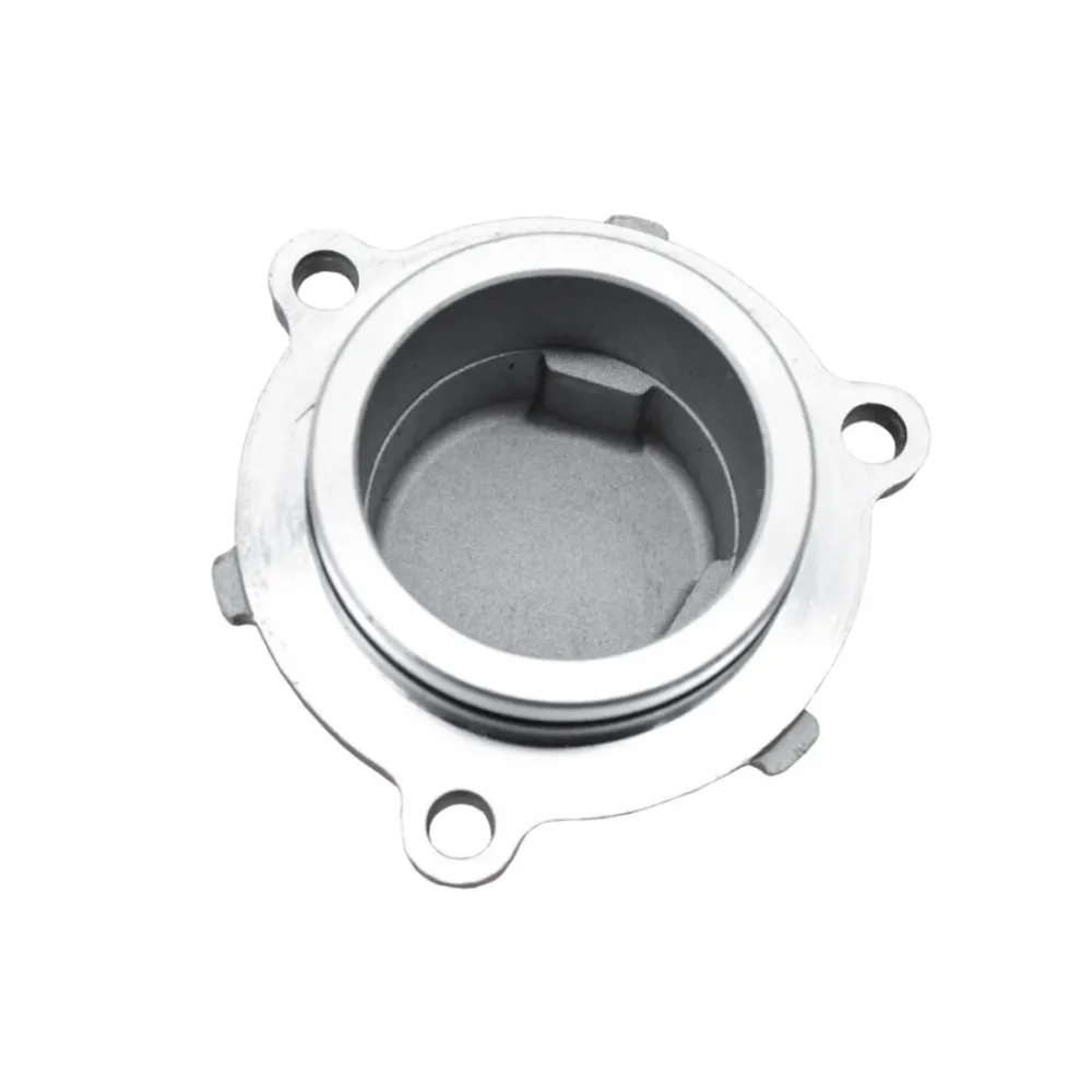0GRA-014001 Plug