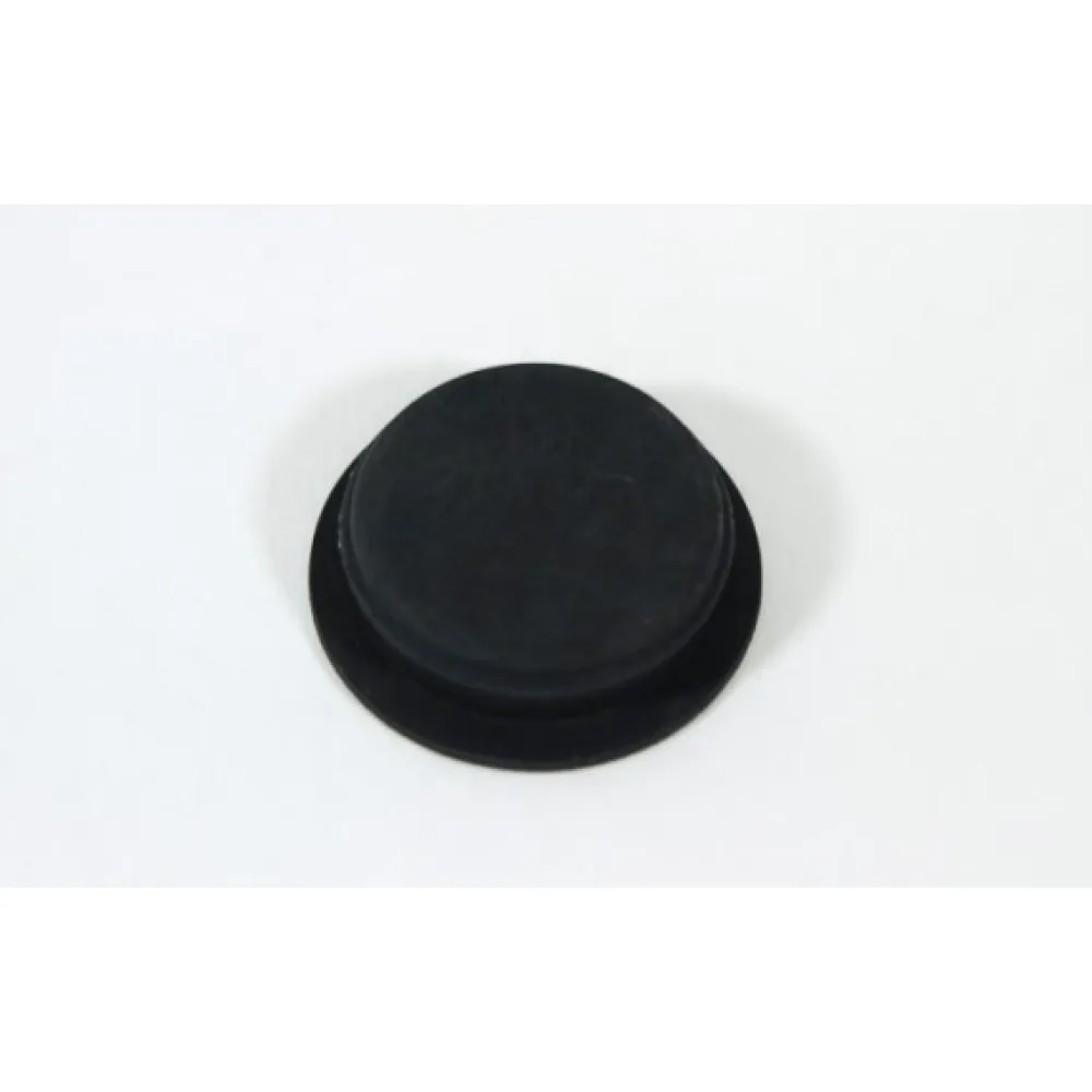 6NT1-060003 DUST CAP, SMALL