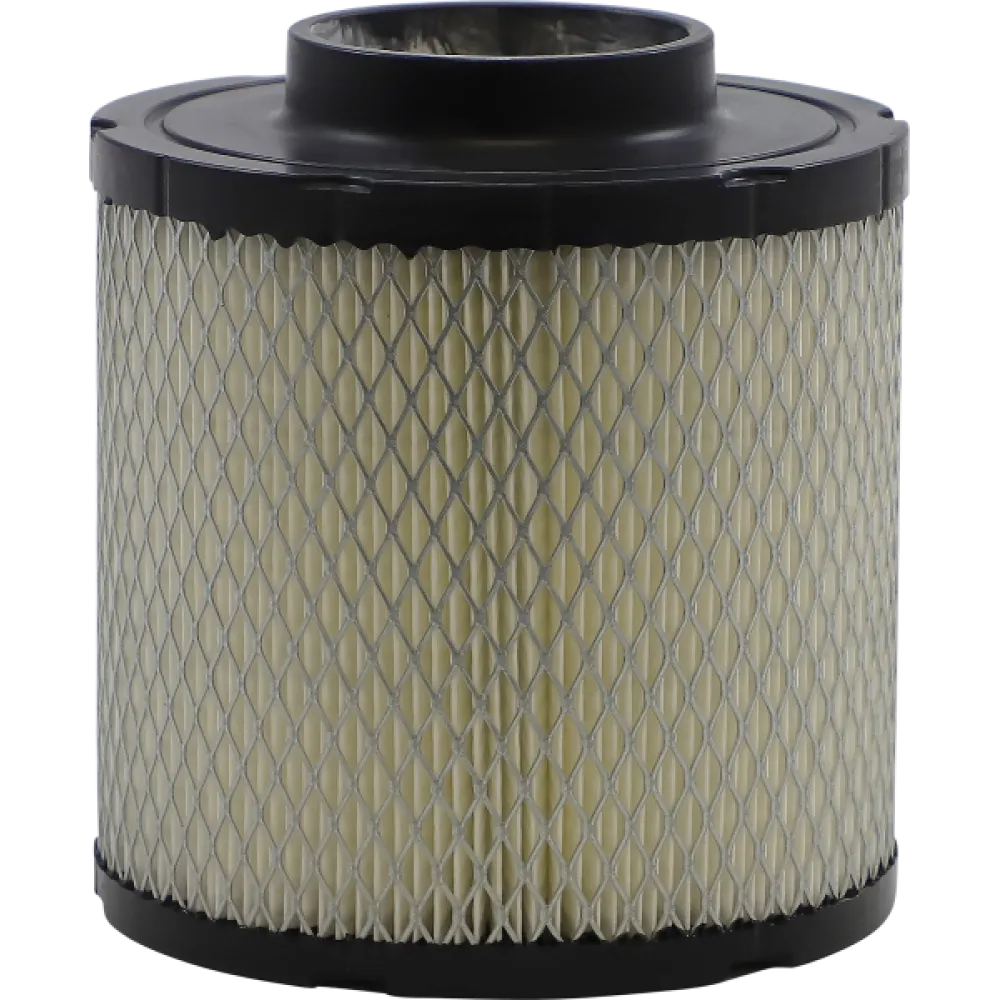 Oro filtras Polaris 48-1007