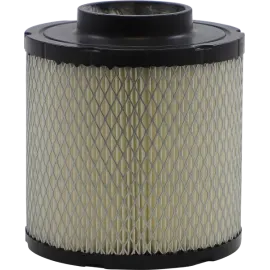Oro filtras Polaris 48-1007
