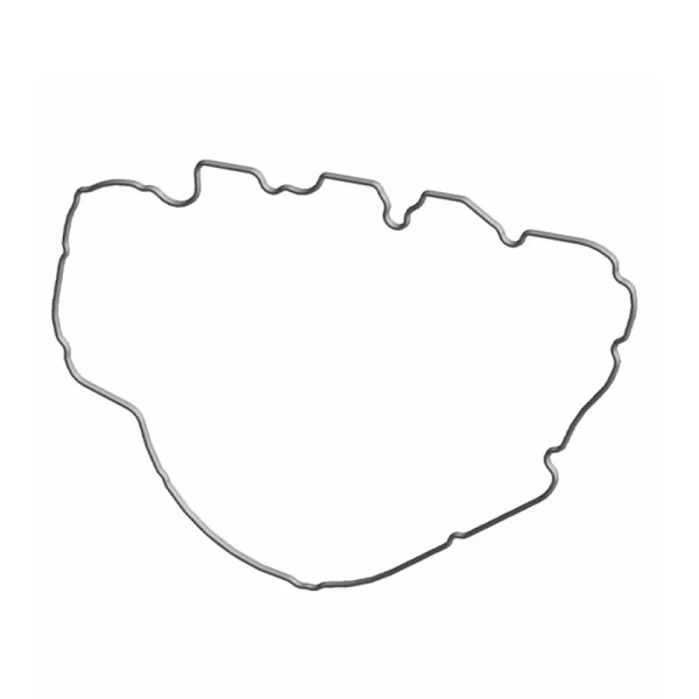 5415984 GASKET-ACG INNER