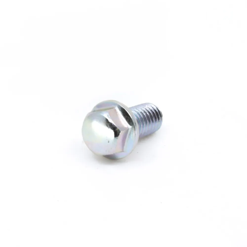 0010-021019-0010 BOLT M6x12