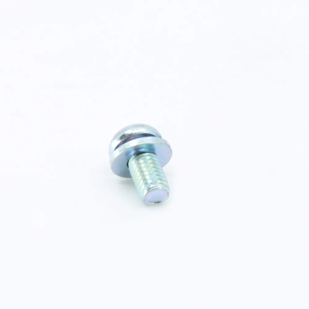 30112-060012410 SCREW ASSY