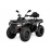 UPMOTO TCROSSER X 300 2WD T3B GREY