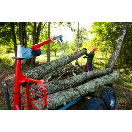 ŽNYPLĖS RĄSTAMS (LOG GRAPPLE - LIFTING TINGS) IRON BALTIC