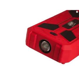 ATSARGINĖ BATERIJA (Power bank)