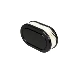 Oro filtras su dviem skylėmis B&S 550e-550ex serijos varikliams #798452