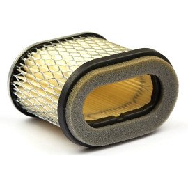 Oro filtras atitinka Briggs&Stratton SA 12727, 697029, 690610, 498596