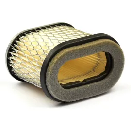 Oro filtras atitinka Briggs&Stratton SA 12727, 697029, 690610, 498596