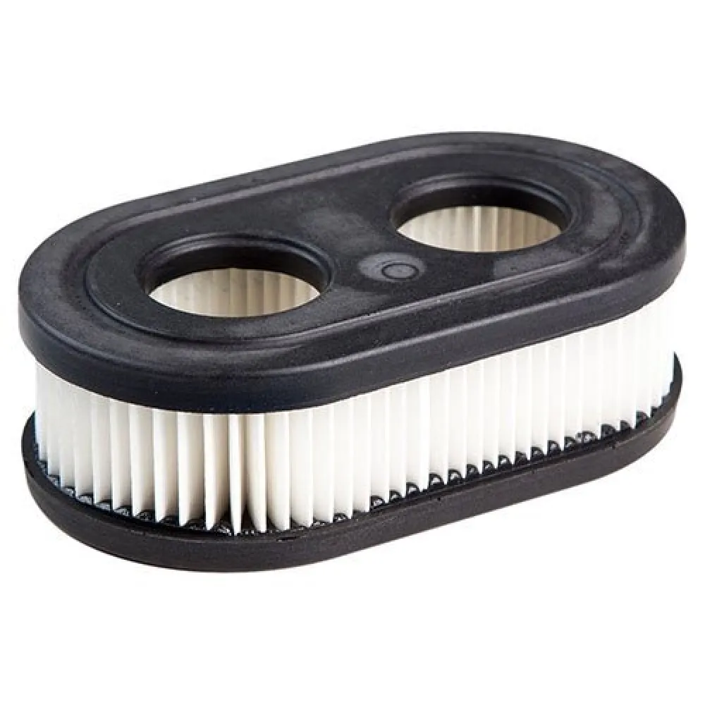 Oro filtras su dviem skylėmis B&S 550e-550ex serijos varikliams #798452