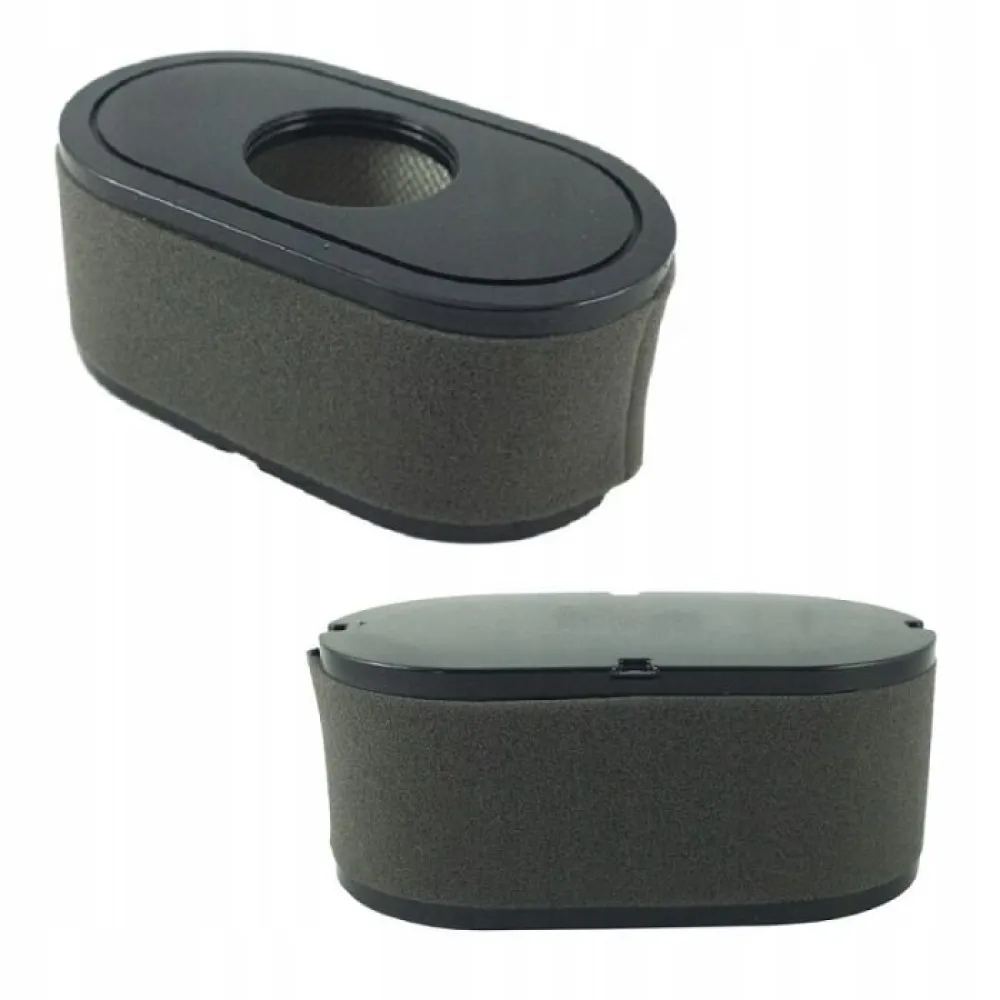 Oro filtras Loncin LC2P73F, LC2P76F 180100123-0001