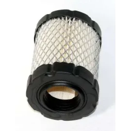 Oro filtras Briggs & Stratton 9-12.5 Ag varikliams 591583, 796032