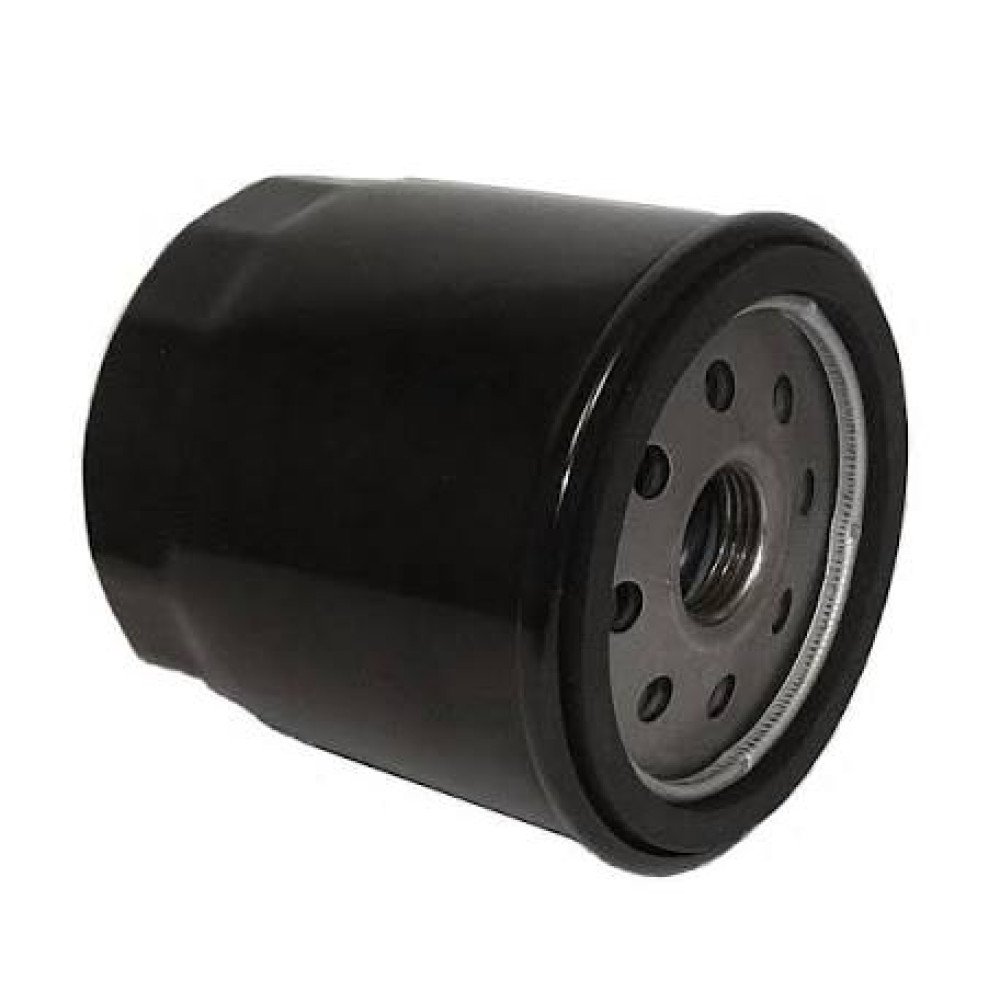 Alyvos filtras Briggs&Stratton SO 3335, 491056, 491056S, 807894, 4153