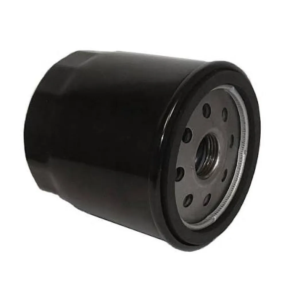 Alyvos filtras Briggs&Stratton SO 3335, 491056, 491056S, 807894, 4153