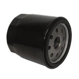 Alyvos filtras Briggs&Stratton SO 3335, 491056, 491056S, 807894, 4153