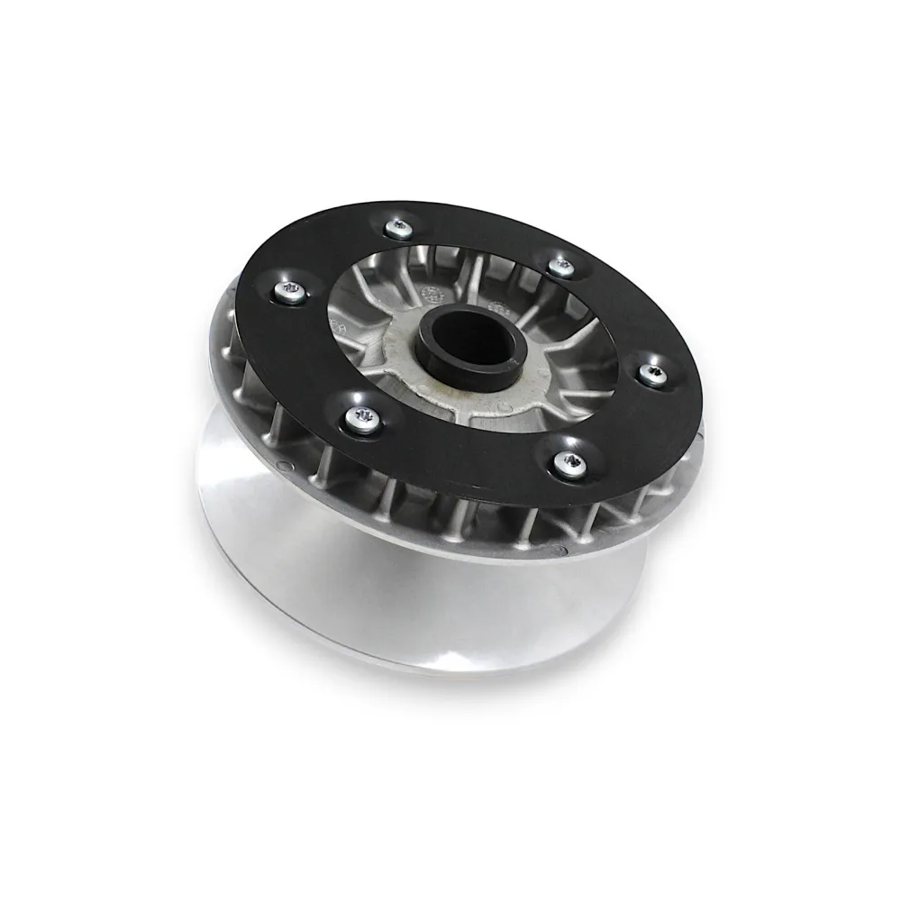 QJMOTOR SFA 1000 PRIEKINIS VARIATORIUS 209026770030