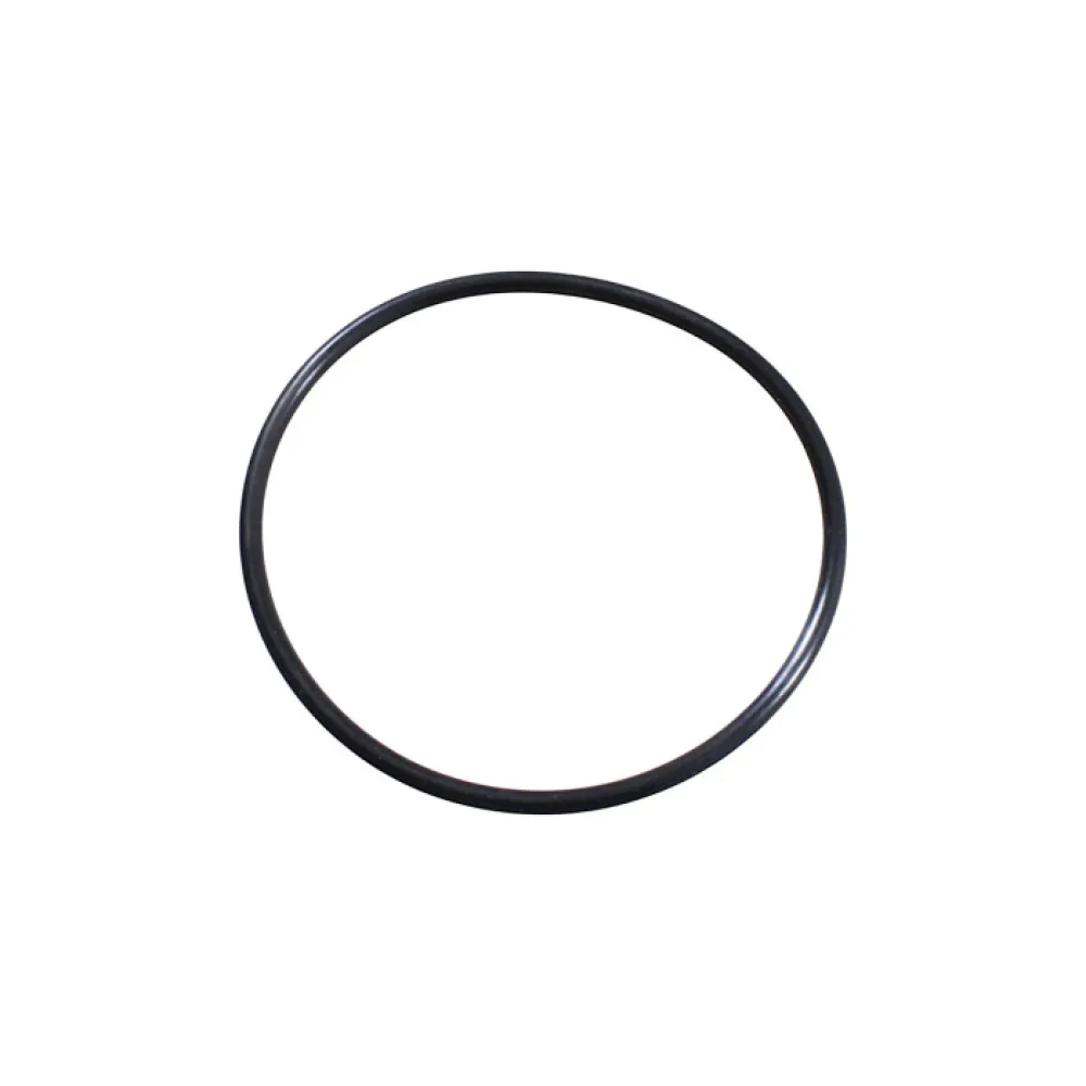 QJMOTOR SFA 600 / 1000 O-RING TARPINĖ 220586770000
