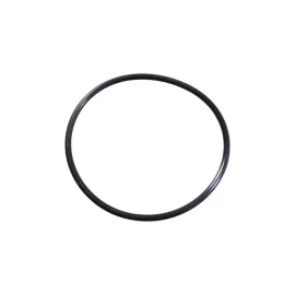 QJMOTOR SFA 600 / 1000 O-RING TARPINĖ 220586770000