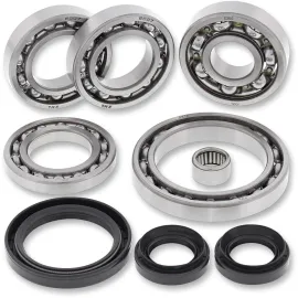 Riebokšlių ir guolių rinkinys galas Differential Bearing and Seal Kit Rear Can Am