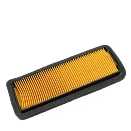 BENELLI LEONCINO 800 OEM ORO FILTRAS