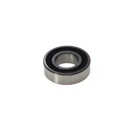 17x35x10 guolis 6003-2RSR/C3