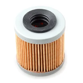 Alyvos filtras MALAGUTI 125cc 874081