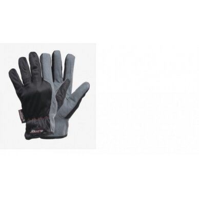 Pirštinės,  Amara, Dex 4 7, Gloves Pro®
