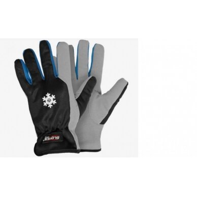 Pirštinės, žieminės, mikropluoštas 10, Gloves Pro®