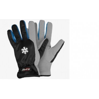Pirštinės, žieminės, mikropluoštas 11, Gloves Pro®