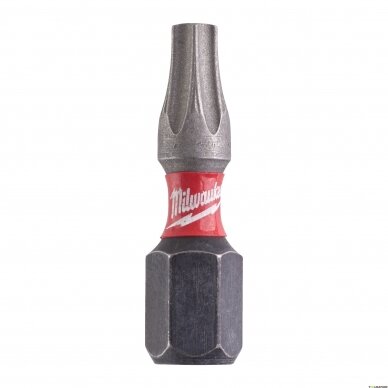 TORX antgalis T20x25mm 2vnt. MILWAUKEE 4932430874